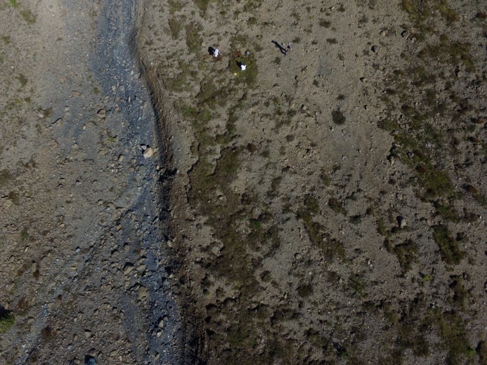 Serpentine lithologies